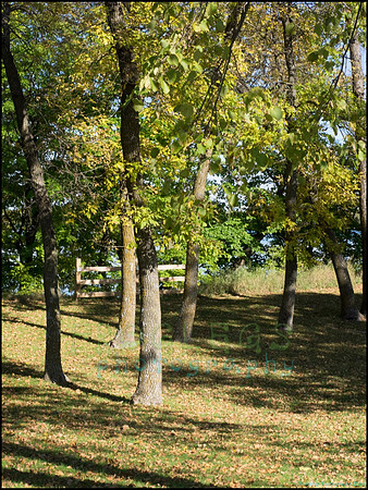 Br_Wayside_13_web