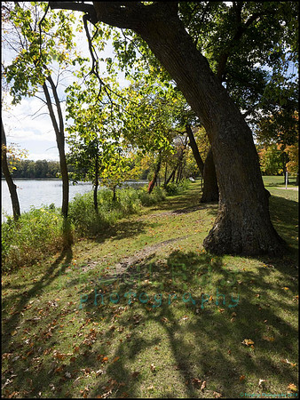 Chippewa_55_web