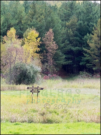 Runestone_096_web