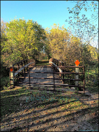 Spruce_Hill_03_web