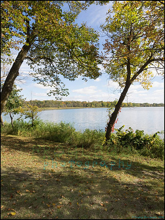 Chippewa_50_web