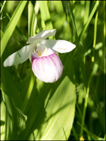 P6200718D_web