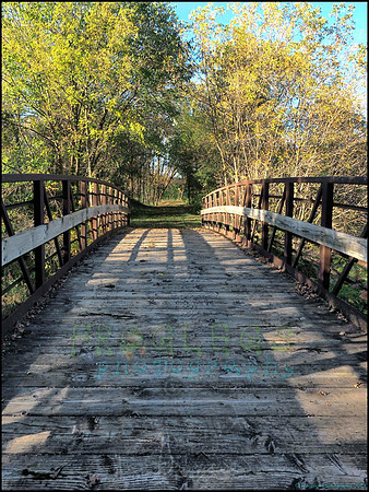 Spruce_Hill_04_web