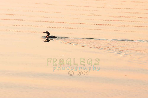 itasca_325_a