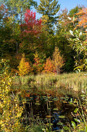 FRG_0376 copy