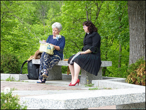 P1100432_web