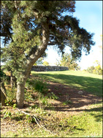 Br_Wayside_05_web