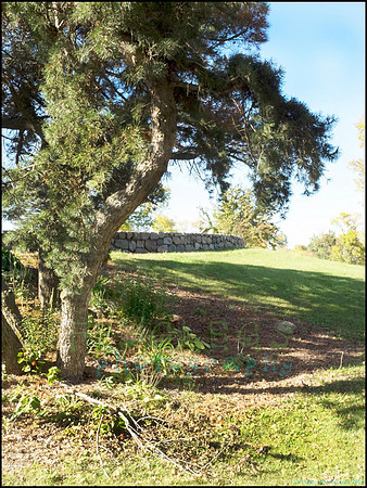 Br_Wayside_05_web