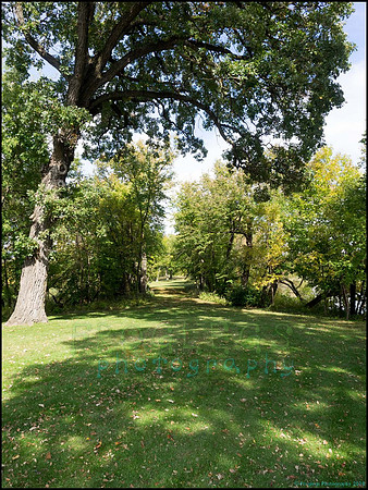 Chippewa_08_web