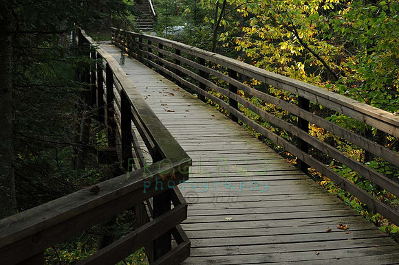 itasca_142