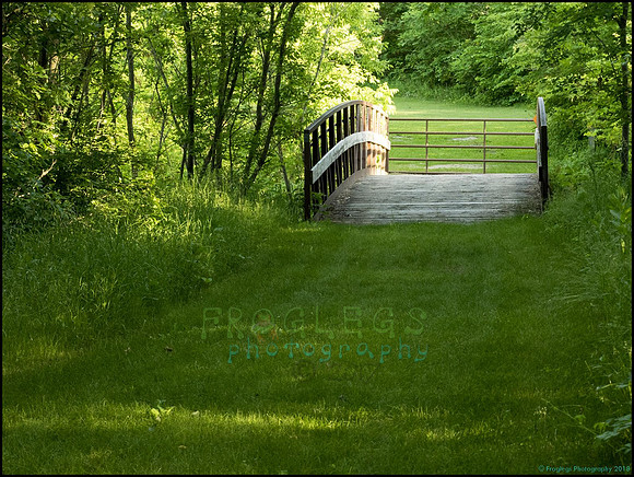 P6200785O_web