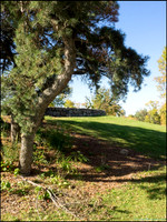 Br_Wayside_06_web