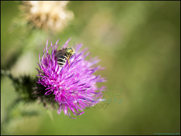 P9290298J_web