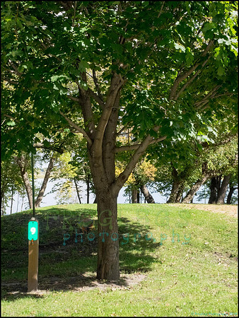 Chippewa_16_web