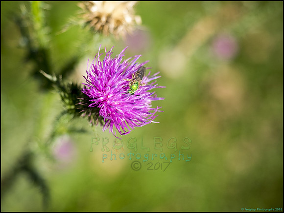 P9290291E_web