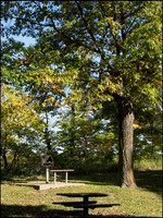 Br_Wayside_17_web