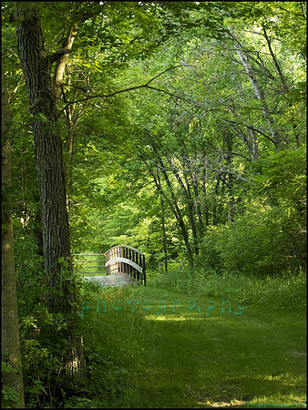 P6200784N_web