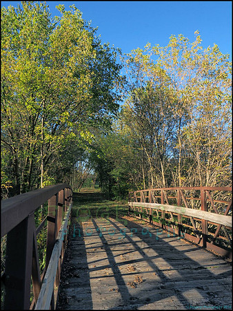 Spruce_Hill_06_web