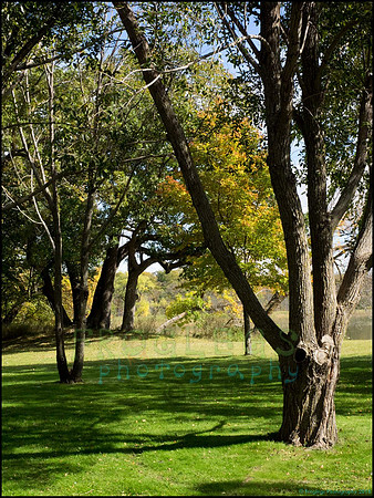 Chippewa_73_web