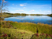 BrophyNorth15_web