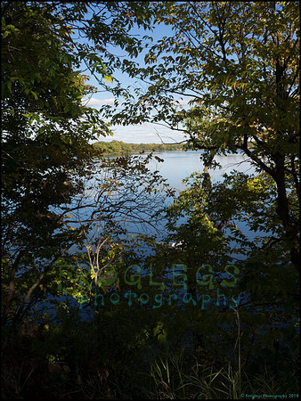 Br_Wayside_21_web