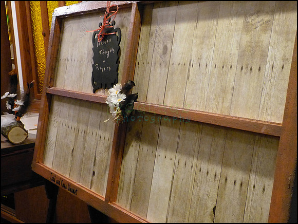 wormet_0534P1090081_web