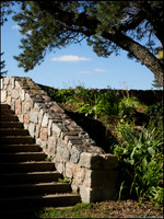 Br_Wayside_03_web