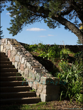 Br_Wayside_03_web