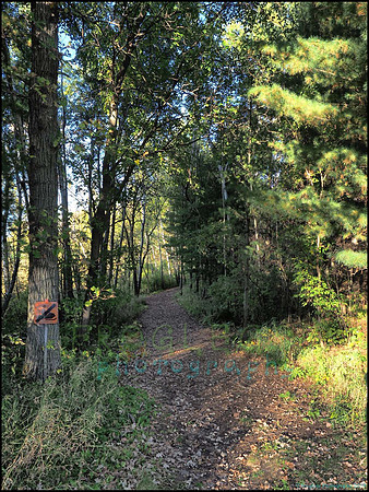 Spruce_Hill_28_web