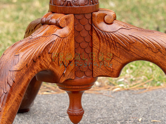FROG6622