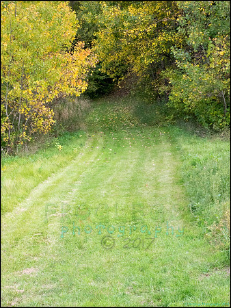 Runestone_108_web