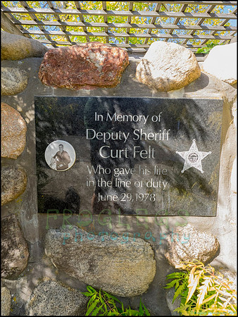 Curt_Felt_08_web