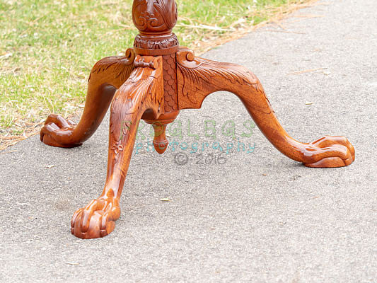 FROG6574