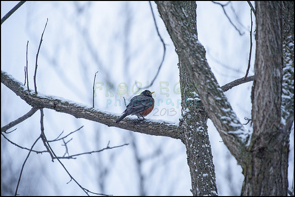 ABC_9199_web