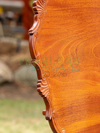 FROG6596