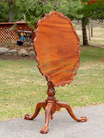 FROG6594
