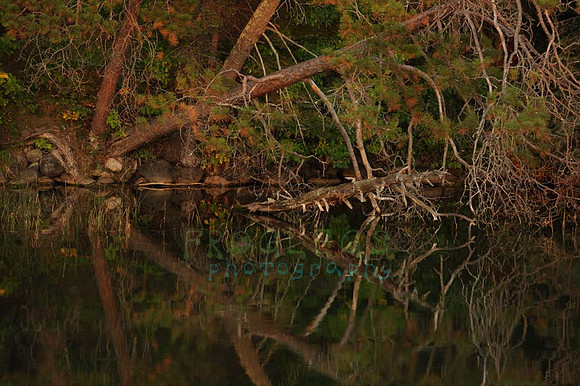 itasca_347