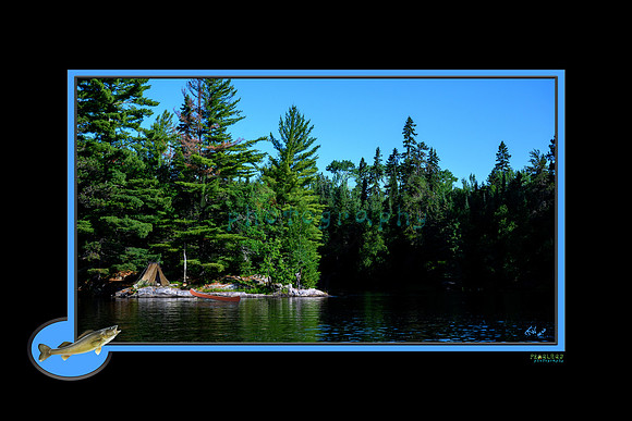walleye_print_1280_web