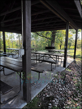 Spruce_Hill_13_web