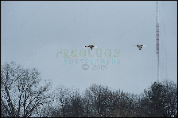 ABC_9214_web