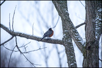 ABC_9197_web