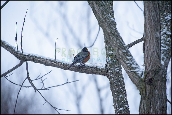 ABC_9197_web