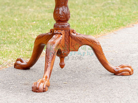 FROG6578