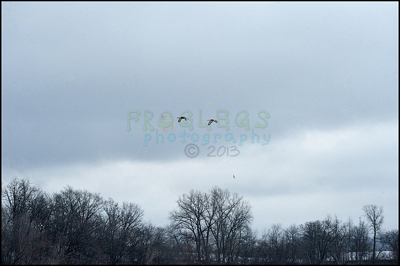 ABC_9213_web