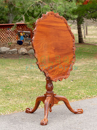 FROG6595