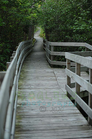itasca_054