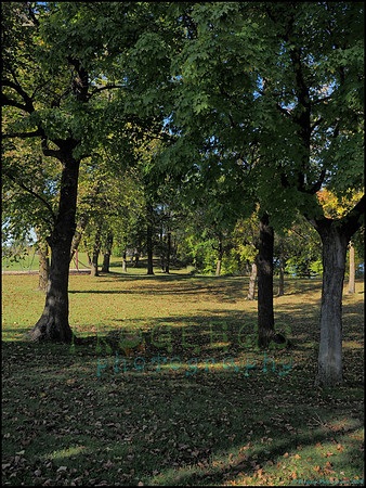 Br_Wayside_45_web