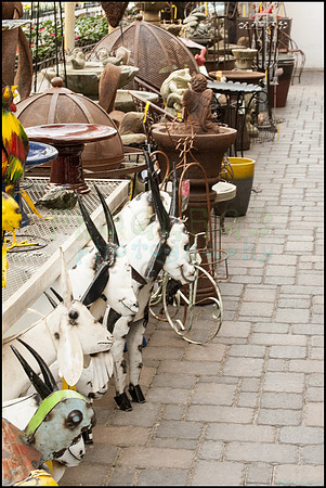 FRG_6052_web