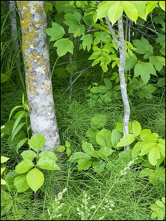 P6200749B_web