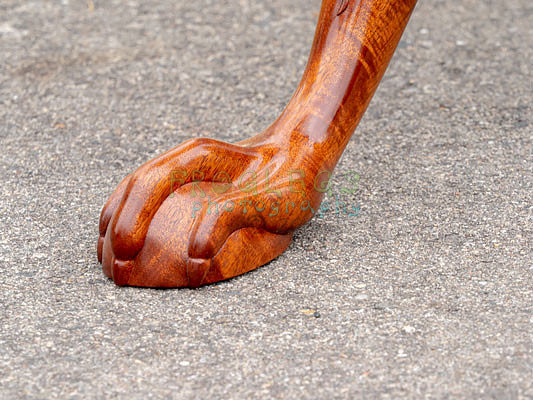 FROG6626